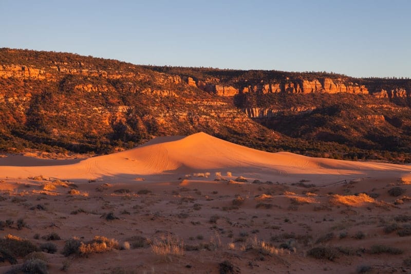 Coral Pink Sand Dunes State Park in Utah