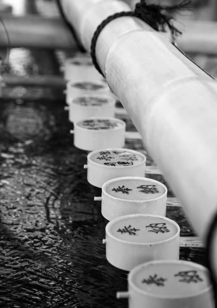 Kyoto in Black and White Temple Purification