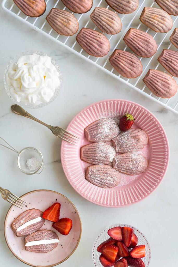 Fool Proof Macarons French Dessert