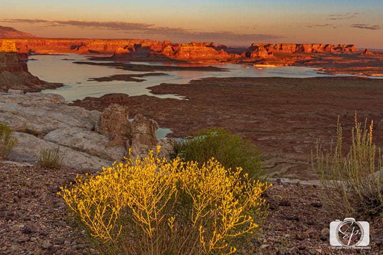 Alstrom Point Above Lake Powell Utah USA