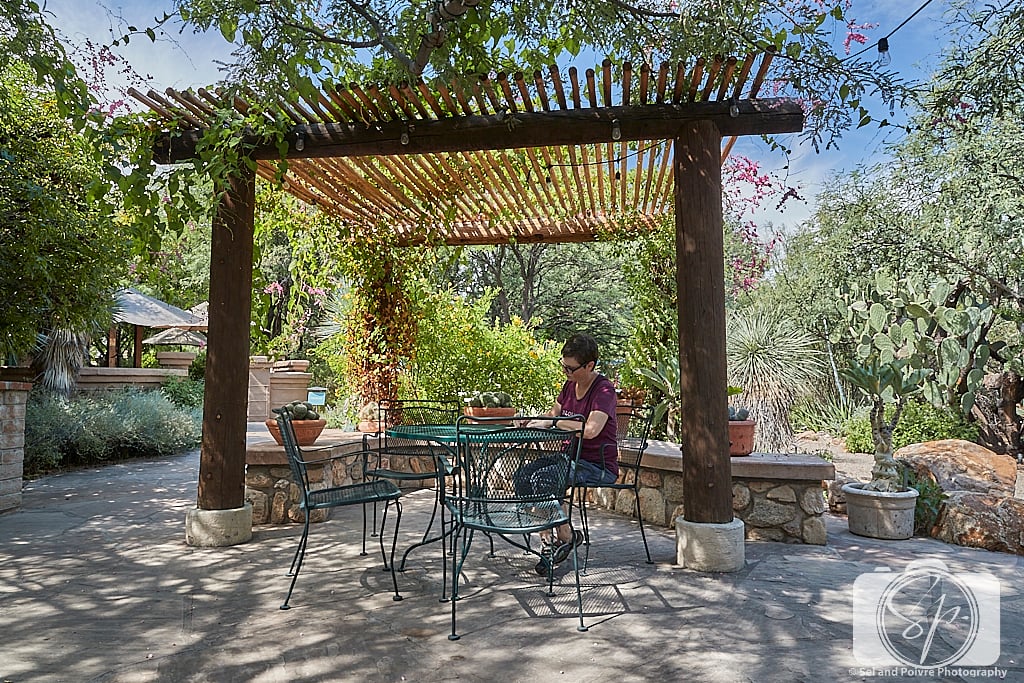 Andi in the Botanical Garden in Tucson