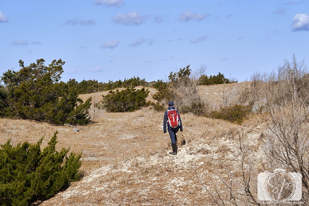 Andi walking in the dunes on Shackleford Banks