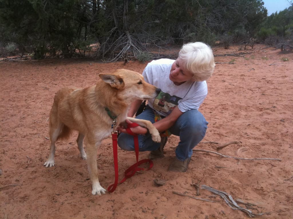Best Friends Animal Sanctuary Kanab