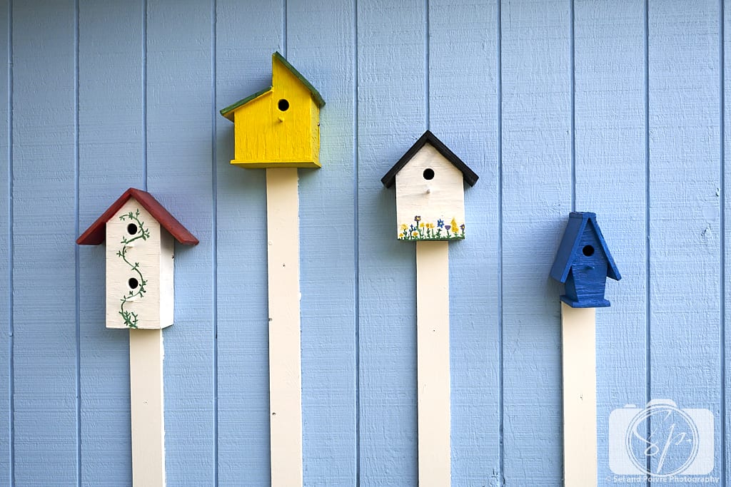 Birdhouses on a wall in Beaufort North Carolina