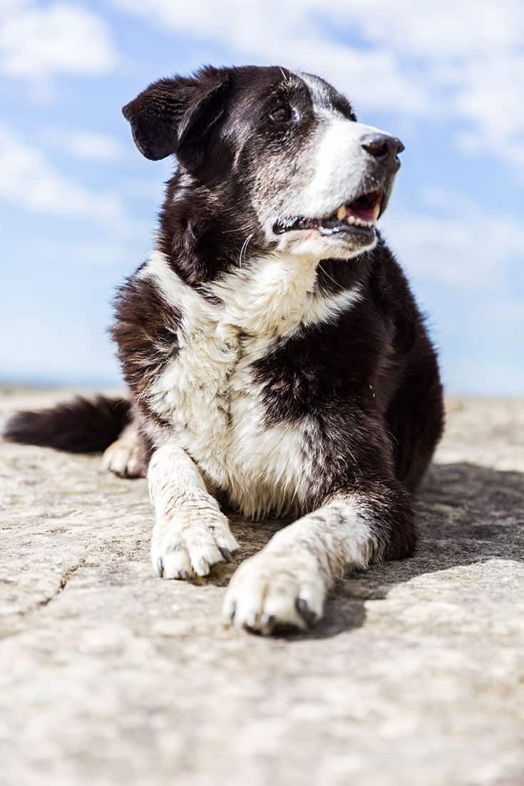 Bo horseback riding Bitter Creek near Billings Montana_Photo credit Emily Sierra
