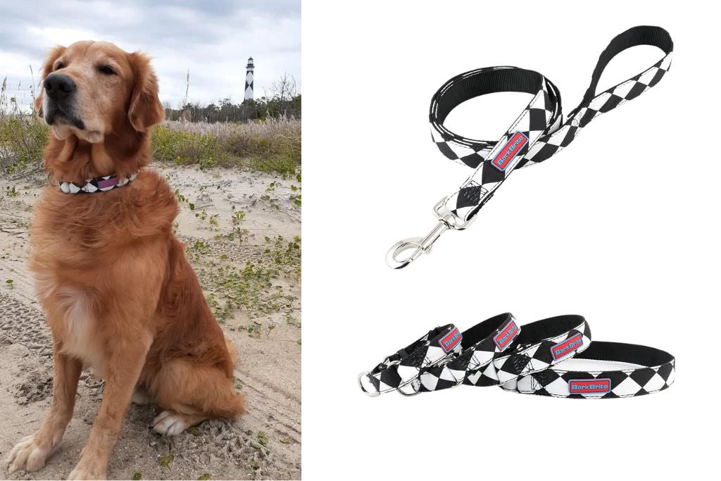 Cape Lookout Dog Accessories from Bark Brite
