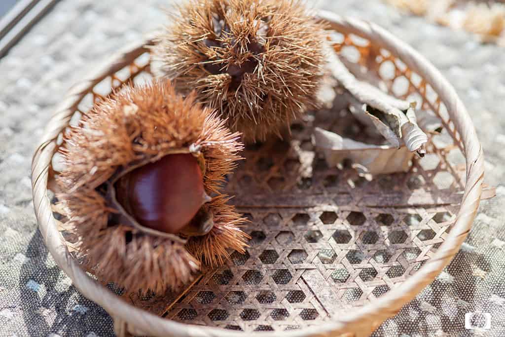 Chestnuts in Kyoto Nishiki Market