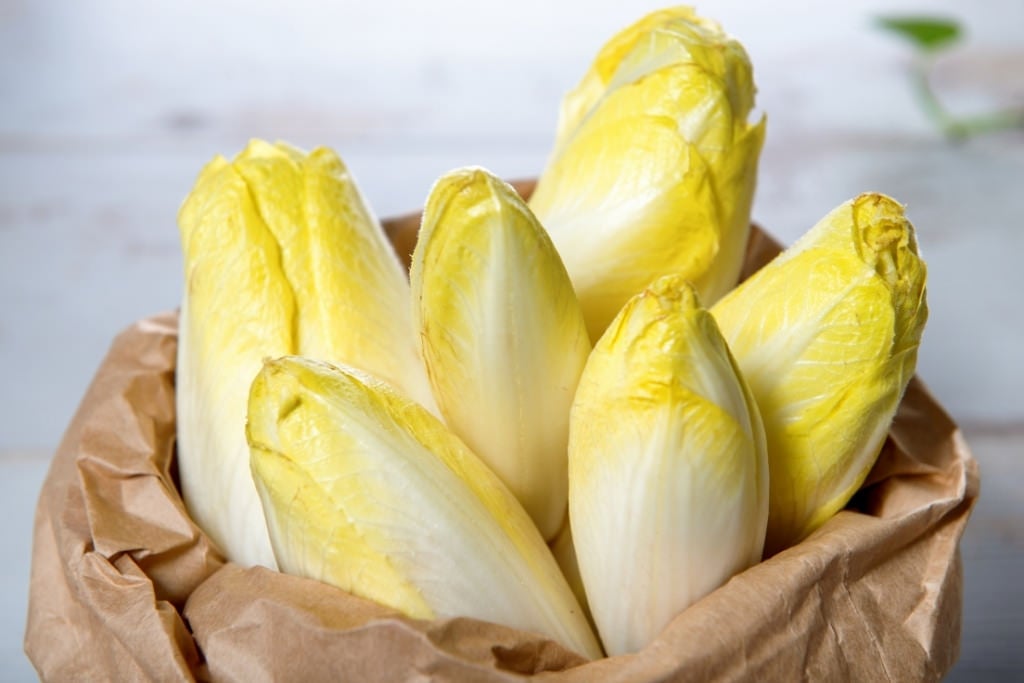 bag of endives