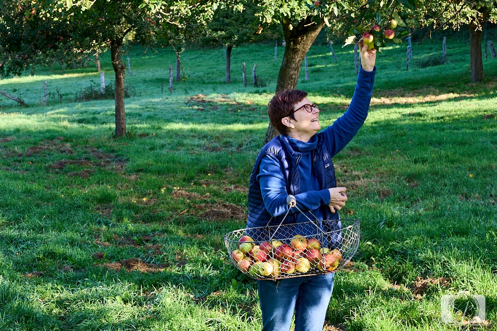 girl in apple orchard