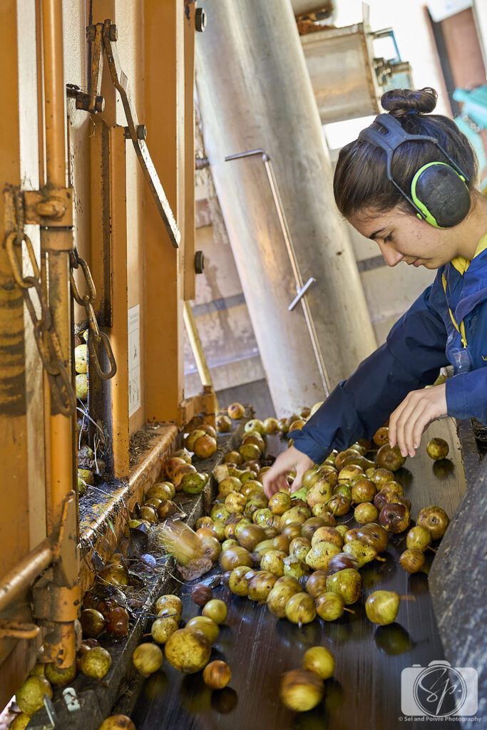 La Galotiere Pays D'Auge France selection