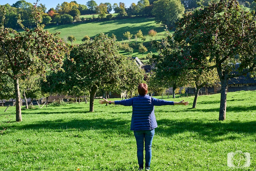 France-Normandy-Orchard field with Andi