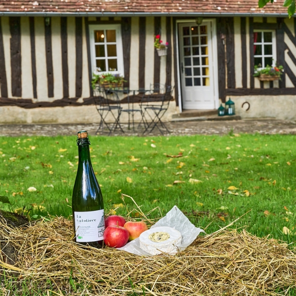 French Cider in Normandy apples and camembert