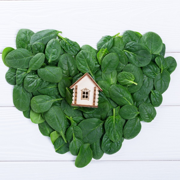 heart made of leaves with a wood house in the middle