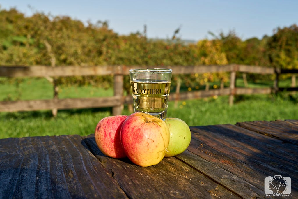 La Galotiere Pays D'Auge France Glass of Calvados apple brandy on top of Apples