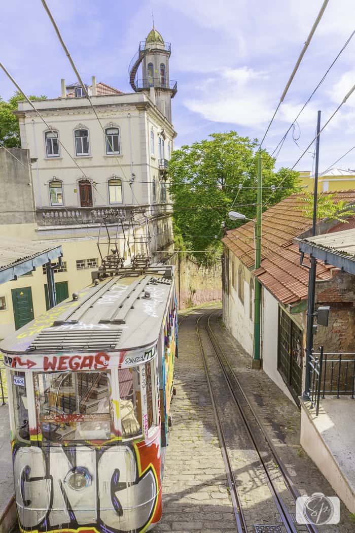 Lisbon Elevator at Lavra
