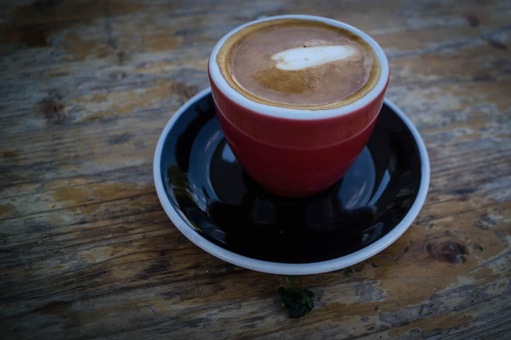 Noisette at the Shakespeare and Company Cafe