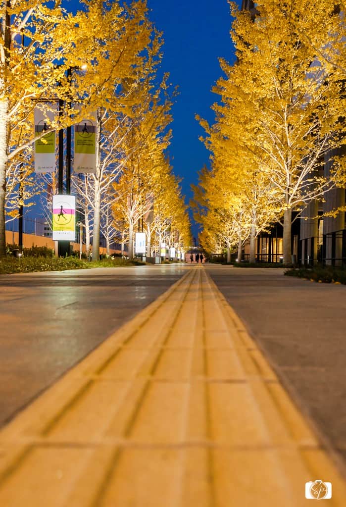 Osaka-Umeda-Sky-Building-After