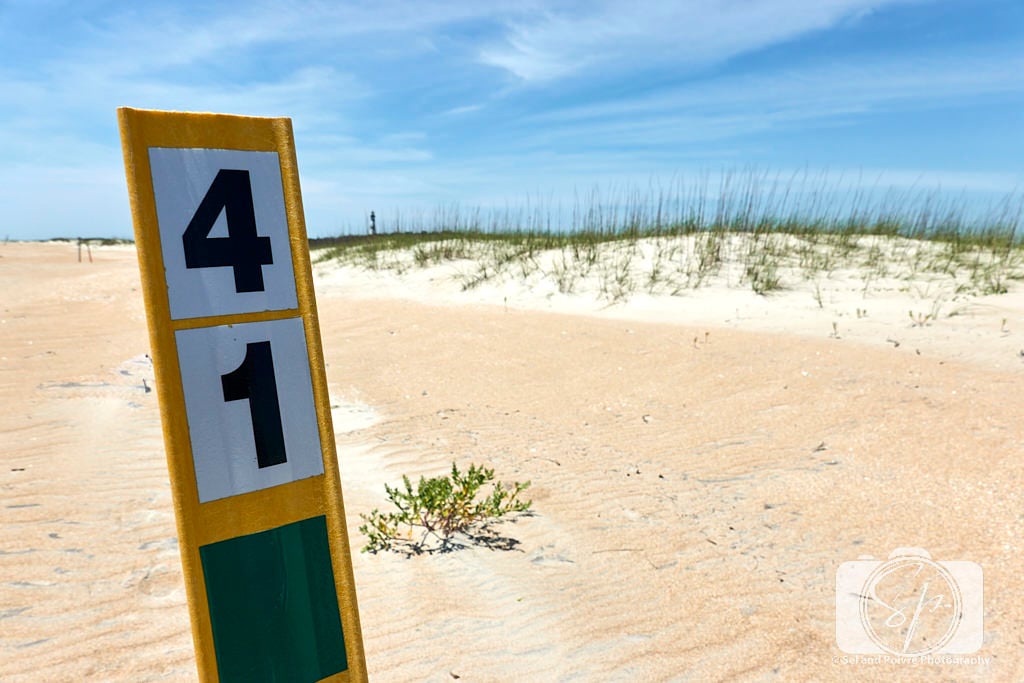 Our beach camping spot on Cape Lookout National Seashore
