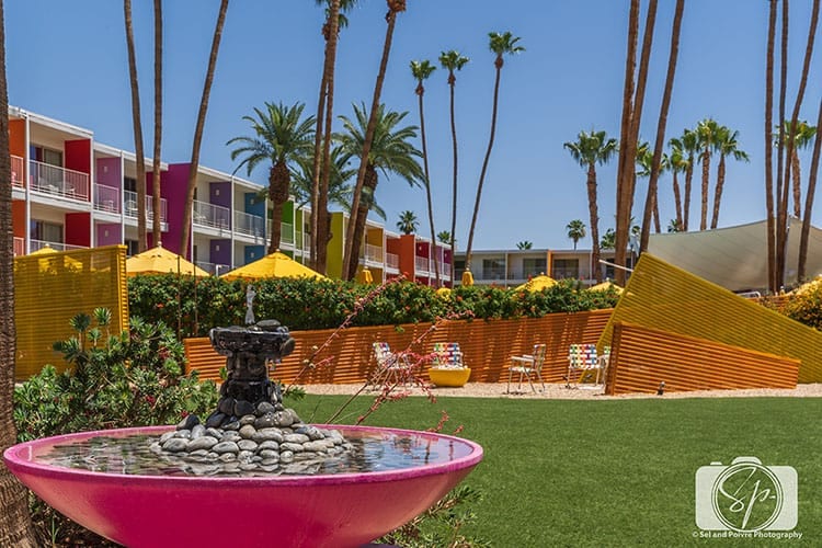 Palm Springs-Saguaro Hotel: Things to do in Palm Springs