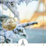 Paris in December tree and eiffel tower