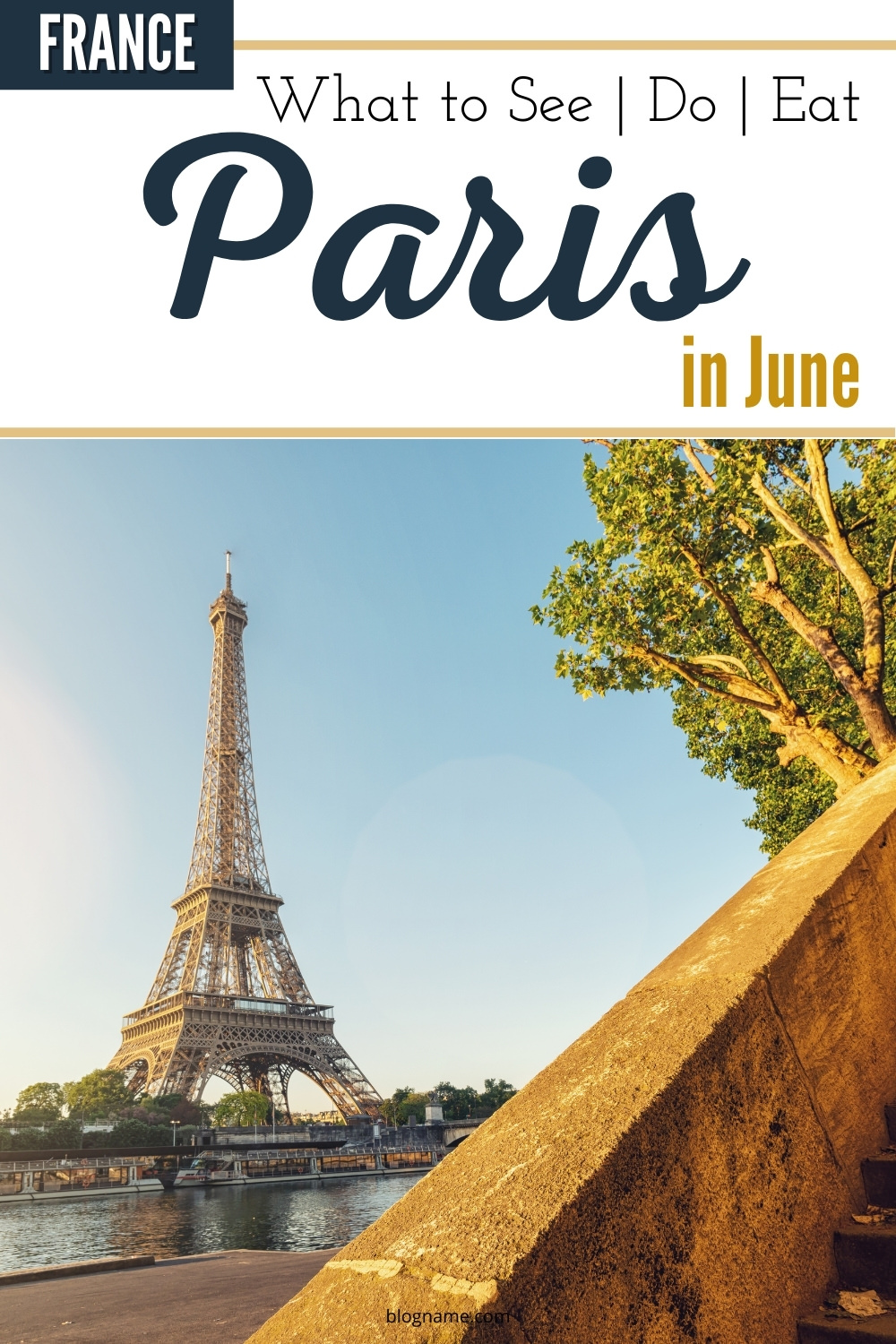 the Eiffel Tower from the Seine