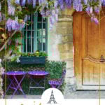 wisteria in front of a building in Paris