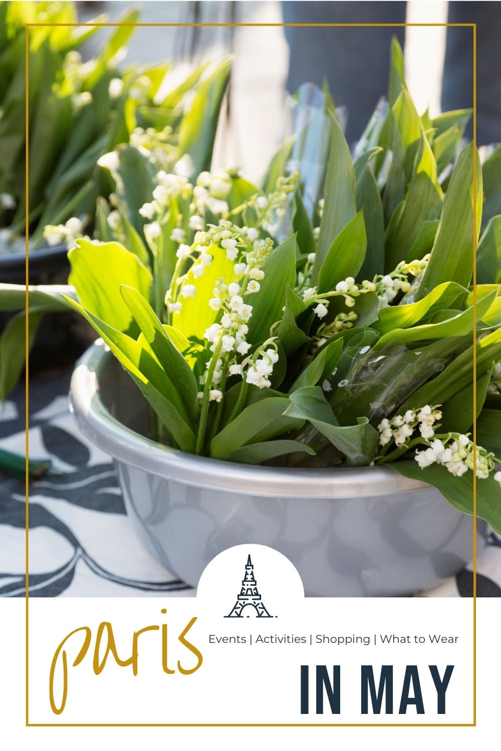 Paris in May pot of lily of the valley flowers