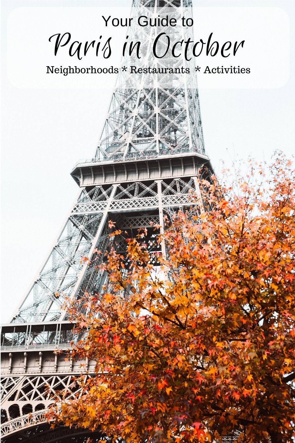 Paris in October eiffel tower with fall leaves