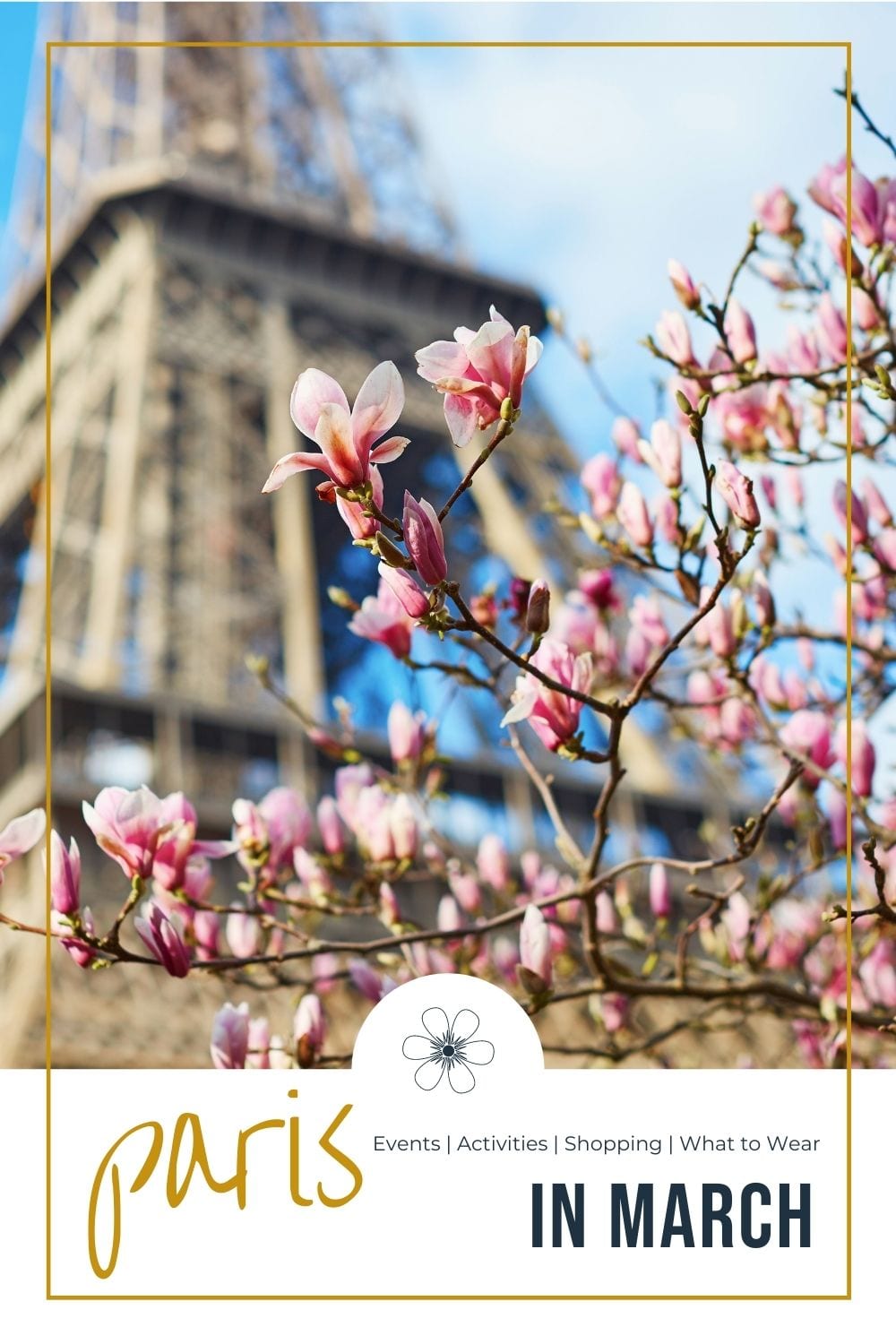 Paris in March eiffel tower behind cherry blossoms