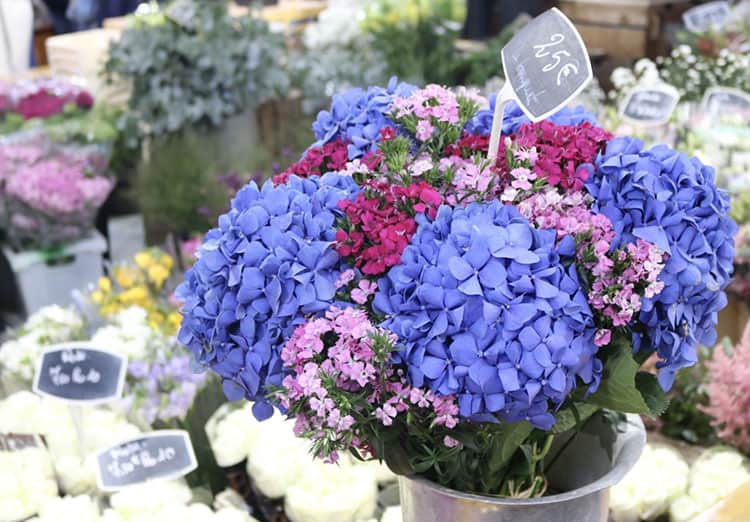 Paris Profiles - 3rd Arrondissement with Kasia-Marche des Enfants Rouge