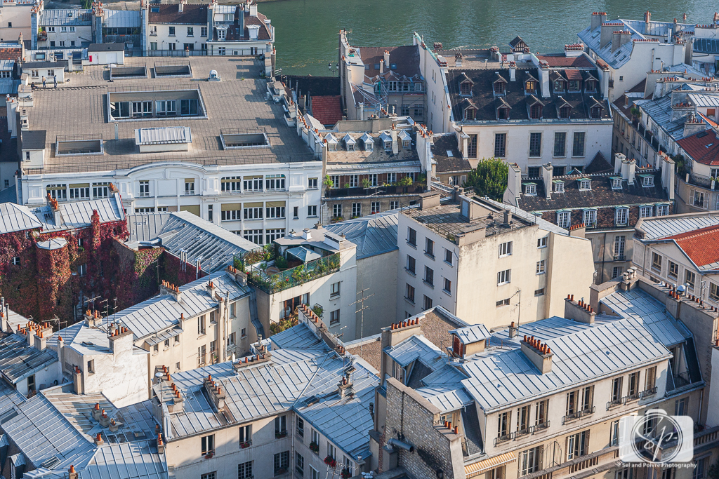 Paris Rooftops