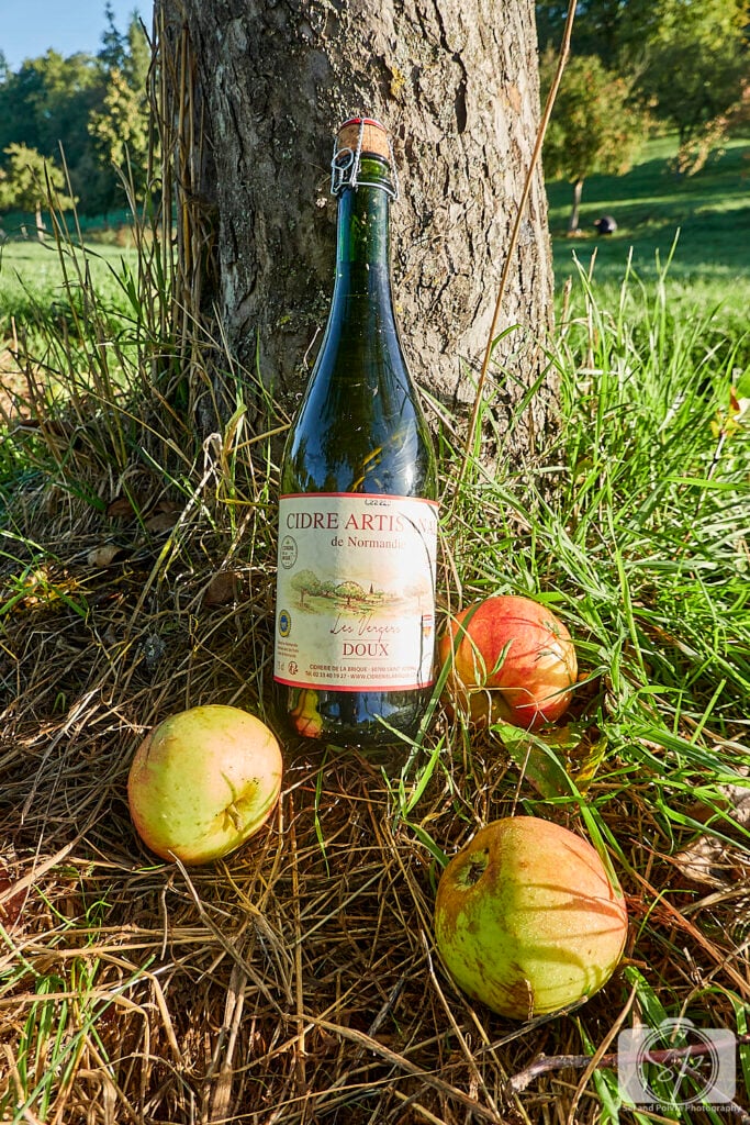 Pays D'Auge Normandy France Cider Bottle sitting on Apple tree