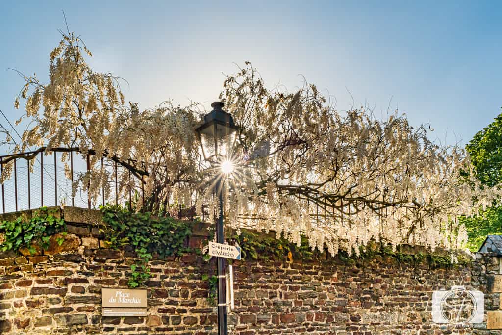 Place du Marchix Fougeres France