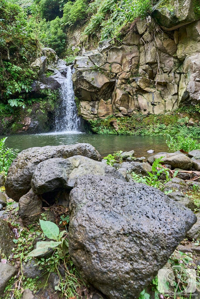 Portugal-Azores-Sao Miguel Parque Natural da Ribeira dos Caldeirões