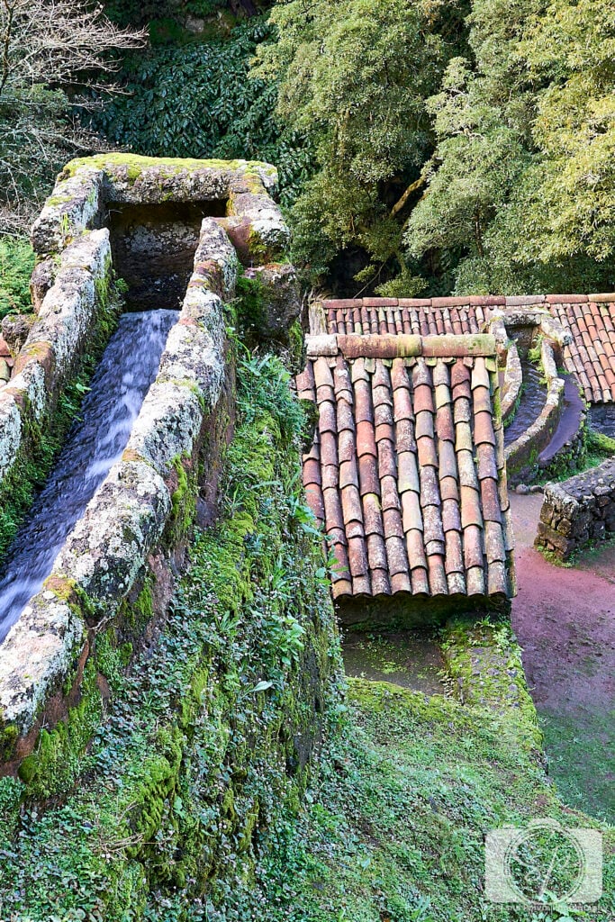 Portugal-Azores-Sao Miguel Parque Natural da Ribeira dos Caldeirões