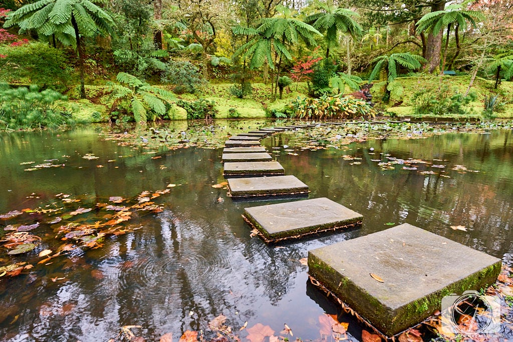 Portugal-Azores-Sao Miguel Terra Nostra Park