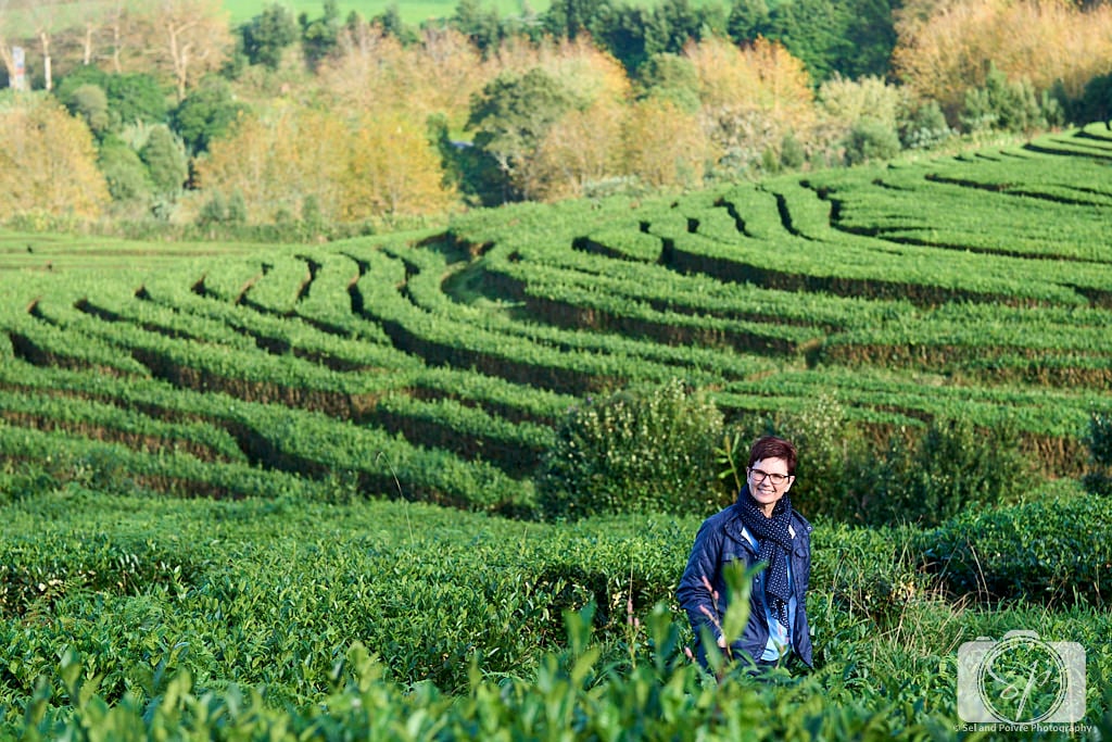Andi in the Cha Gorreana Tea Plantation in Sao Miguel Azores
