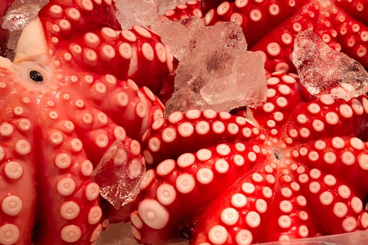 Tako Tsukiji Fish Market