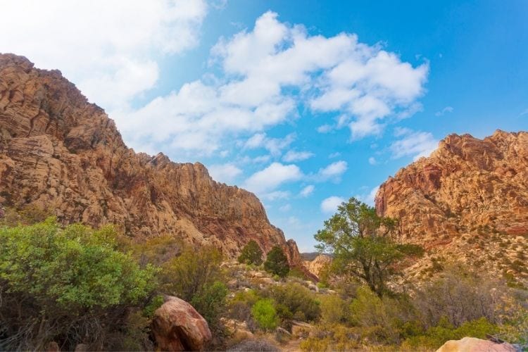Red Rock Canyon National Conservation Area