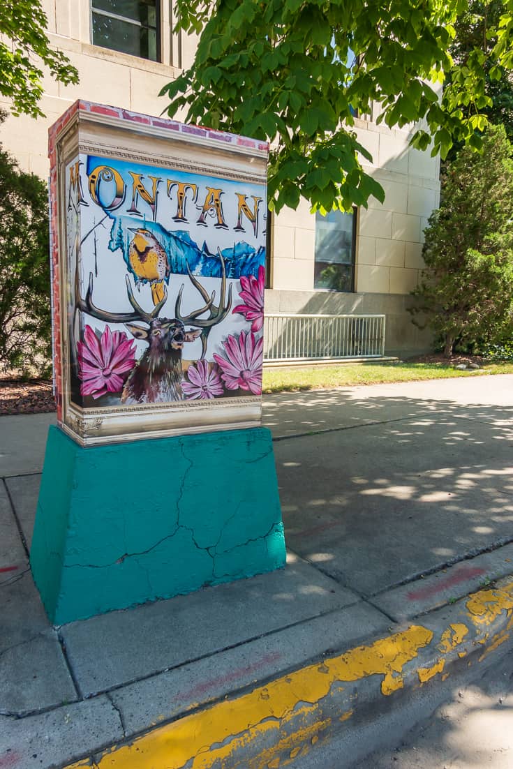 Traffic Signal Box art in Billings Montana