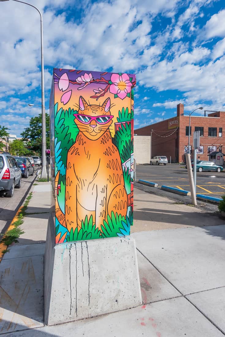 Traffic Signal Box art in Billings Montana