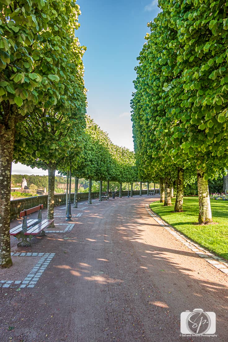 Treelined path in the gardens of St Leonards church- Fougeres France