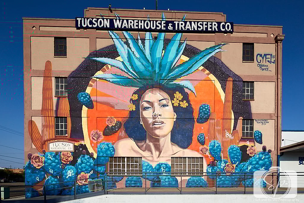 Tucson Goddess of Agave mural by artist Rock Martinez with assistance from artist Christina Perez
