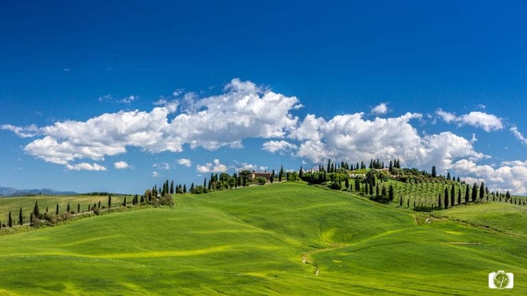 Tuscan Countryside