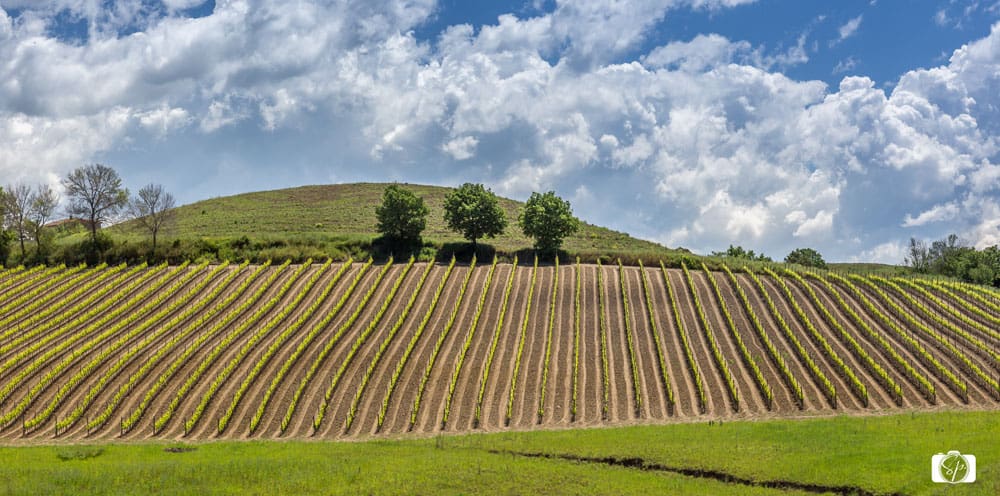 Rural Tuscan Italy Countryside