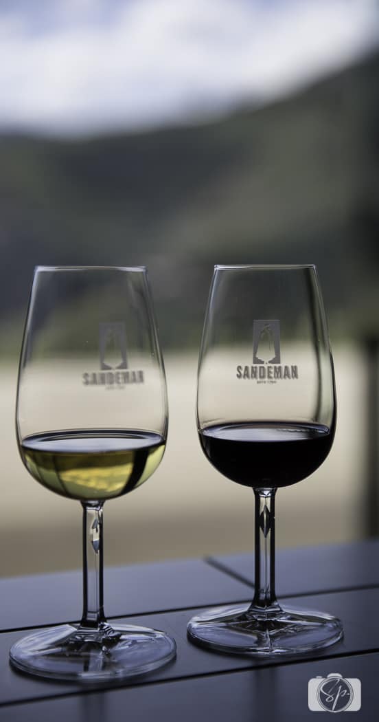 Viking River Cruises Portugal - Douro River Sandeman Porto Tasting