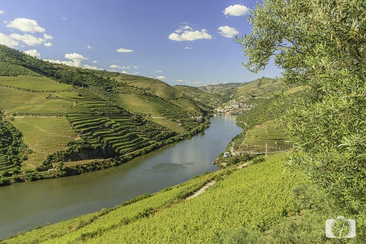 Viking River Cruises Portugal - Driving to Sandeman Estate on the Douro River