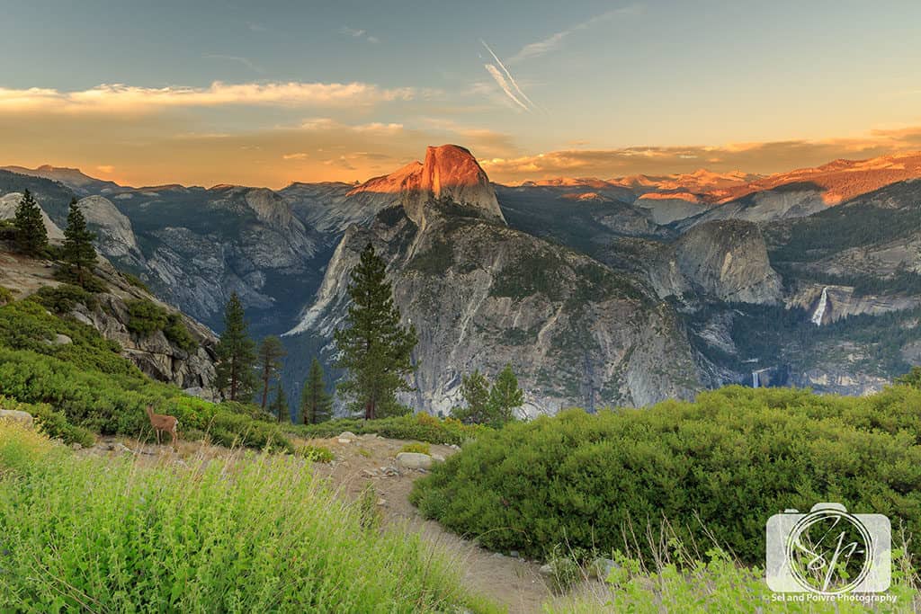Yosemite-National Park