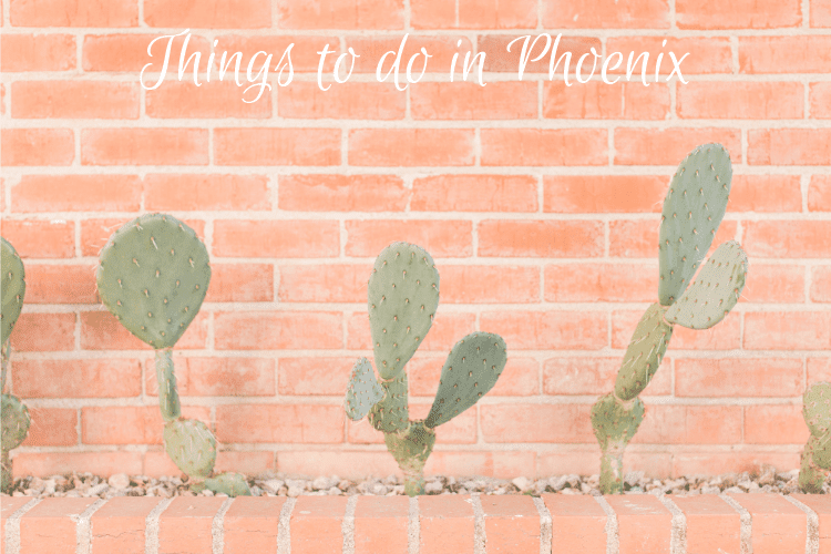 Things to do in Phoenix