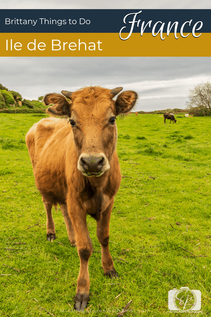 Ile de Brehat Brittany France Ile de Brehat Brittany France